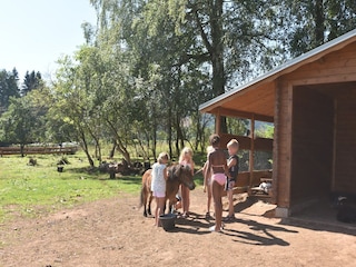 Holiday house Bozanov  35