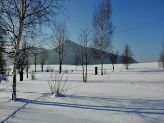 Holiday house Bozanov Outdoor Recording 12