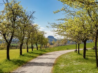 Vakantiehuis Mittelndorf Omgeving 23