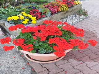 Apartamento Lichtenhain Grabación al aire libre 3