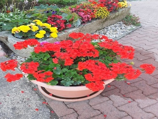 Appartamento Lichtenhain Registrazione all'aperto 3