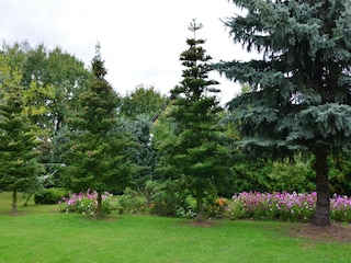 Ferienhaus Schmogrow Außenaufnahme 5