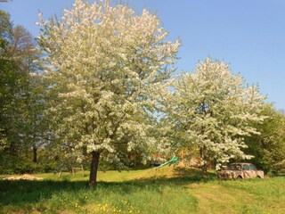 Vakantiehuis Schmogrow Omgeving 24