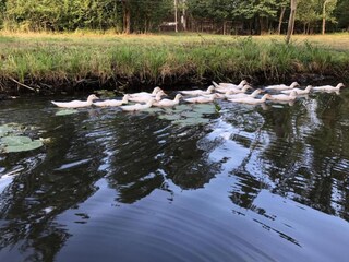 Vakantiehuis Schmogrow Omgeving 37