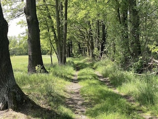 Vakantiehuis Schmogrow Omgeving 33