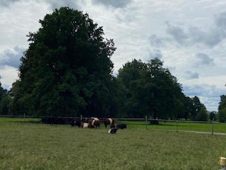 Ferienhaus Schmogrow Umgebung 27