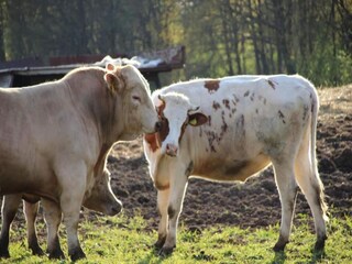 Ferienhaus Schmogrow Umgebung 37