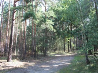 Vakantiehuis Schmogrow Omgeving 36