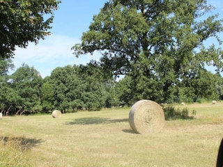 Holiday house Schmogrow Environment 26