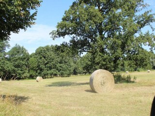 Vakantiehuis Schmogrow Omgeving 26