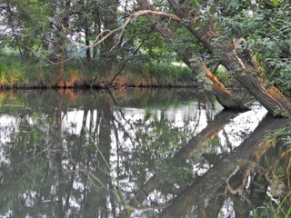 Holiday house Schmogrow Environment 24