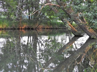 Vakantiehuis Schmogrow Omgeving 27