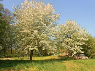 Ferienhaus Schmogrow Umgebung 30