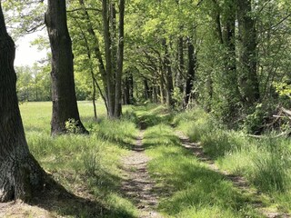 Vakantiehuis Schmogrow Omgeving 32