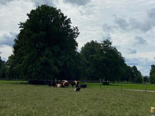 Vakantiehuis Schmogrow Omgeving 38