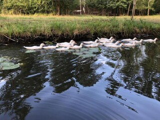 Vakantiehuis Schmogrow Omgeving 23