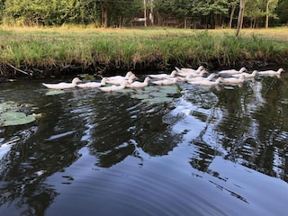 Vakantiehuis Schmogrow Omgeving 41