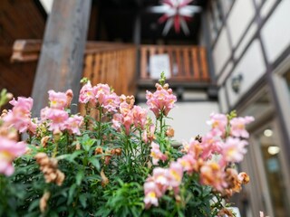 Appartement Quedlinburg  37