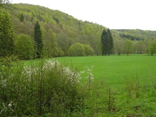 Maison de vacances Neudorf (Harz) Environnement 11