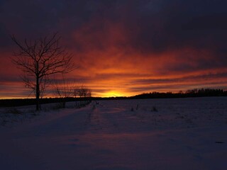 Maison de vacances Neudorf (Harz) Environnement 34
