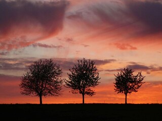 Casa de vacaciones Neudorf (Harz) Entorno 25