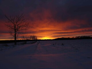 Casa per le vacanze Neudorf (Harz) Ambiente 11