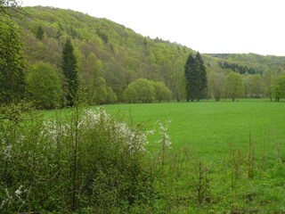 Holiday house Neudorf (Harz) Environment 15