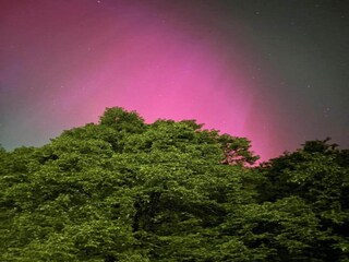 Vakantiehuis Neudorf (Harz) Omgeving 14