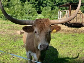 Maison de vacances Neudorf (Harz) Environnement 23
