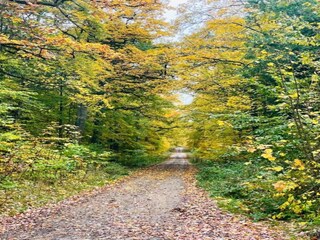Casa per le vacanze Neudorf (Harz) Ambiente 25