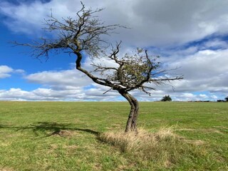 Maison de vacances Neudorf (Harz) Environnement 20