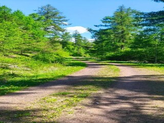 Casa per le vacanze Neudorf (Harz) Ambiente 37