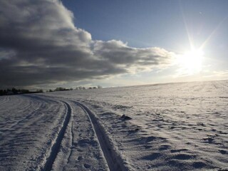 Ferienhaus Neudorf (Harz) Umgebung 55