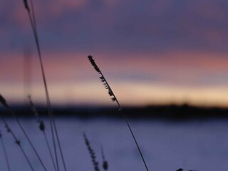 Vakantiehuis Neudorf (Harz) Omgeving 59