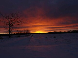 Ferienhaus Neudorf (Harz) Umgebung 46