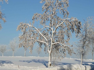 Ferienhaus Neudorf (Harz) Umgebung 20