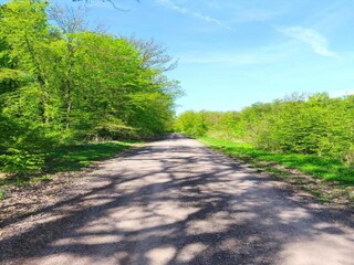 Ferienhaus Neudorf (Harz) Umgebung 21