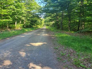 Vakantiehuis Neudorf (Harz) Omgeving 36