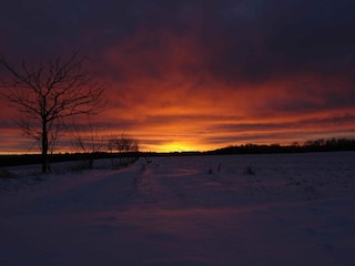 Ferienhaus Neudorf (Harz) Umgebung 30