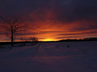 Maison de vacances Neudorf (Harz) Environnement 30