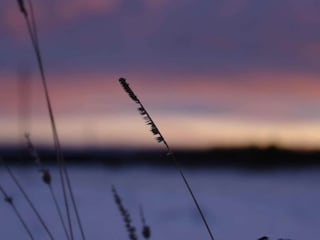 Maison de vacances Neudorf (Harz) Environnement 27