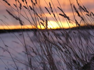 Maison de vacances Neudorf (Harz) Environnement 28