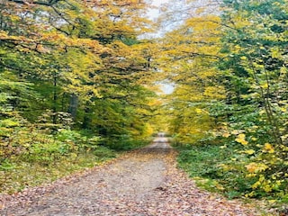 Maison de vacances Neudorf (Harz) Environnement 15