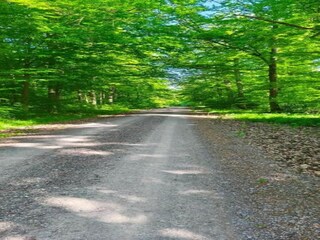 Casa per le vacanze Neudorf (Harz) Ambiente 30