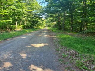 Vakantiehuis Neudorf (Harz) Omgeving 36