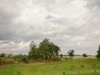 Appartamento Ballenstedt Ambiente 19