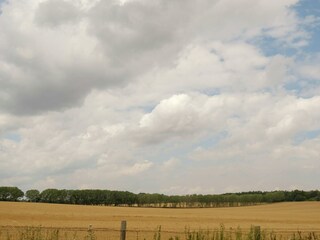 Appartamento Ballenstedt Ambiente 23