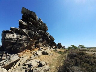 Apartment Ballenstedt Environment 23