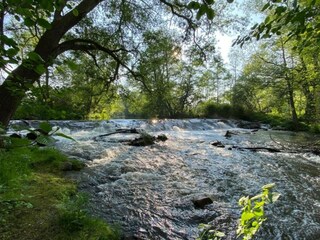 Appartement Ballenstedt Environnement 33