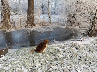 Appartamento Ballenstedt Ambiente 34